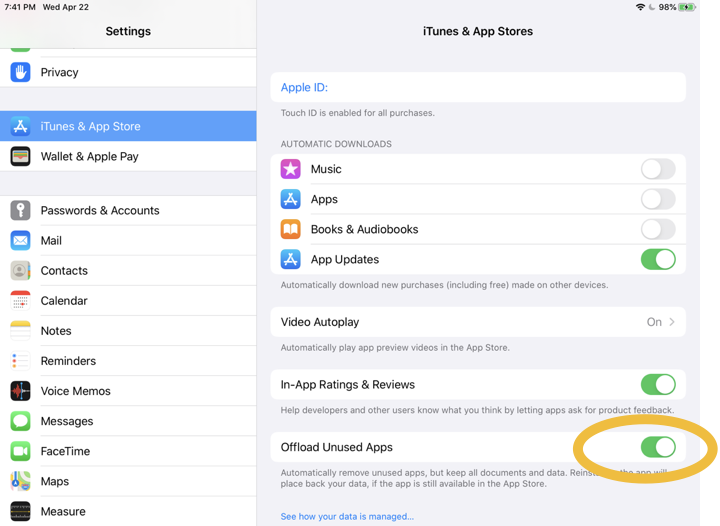 Screenshot of the switch in iTunes and App Store settings for Offline Unused Apps, turned on