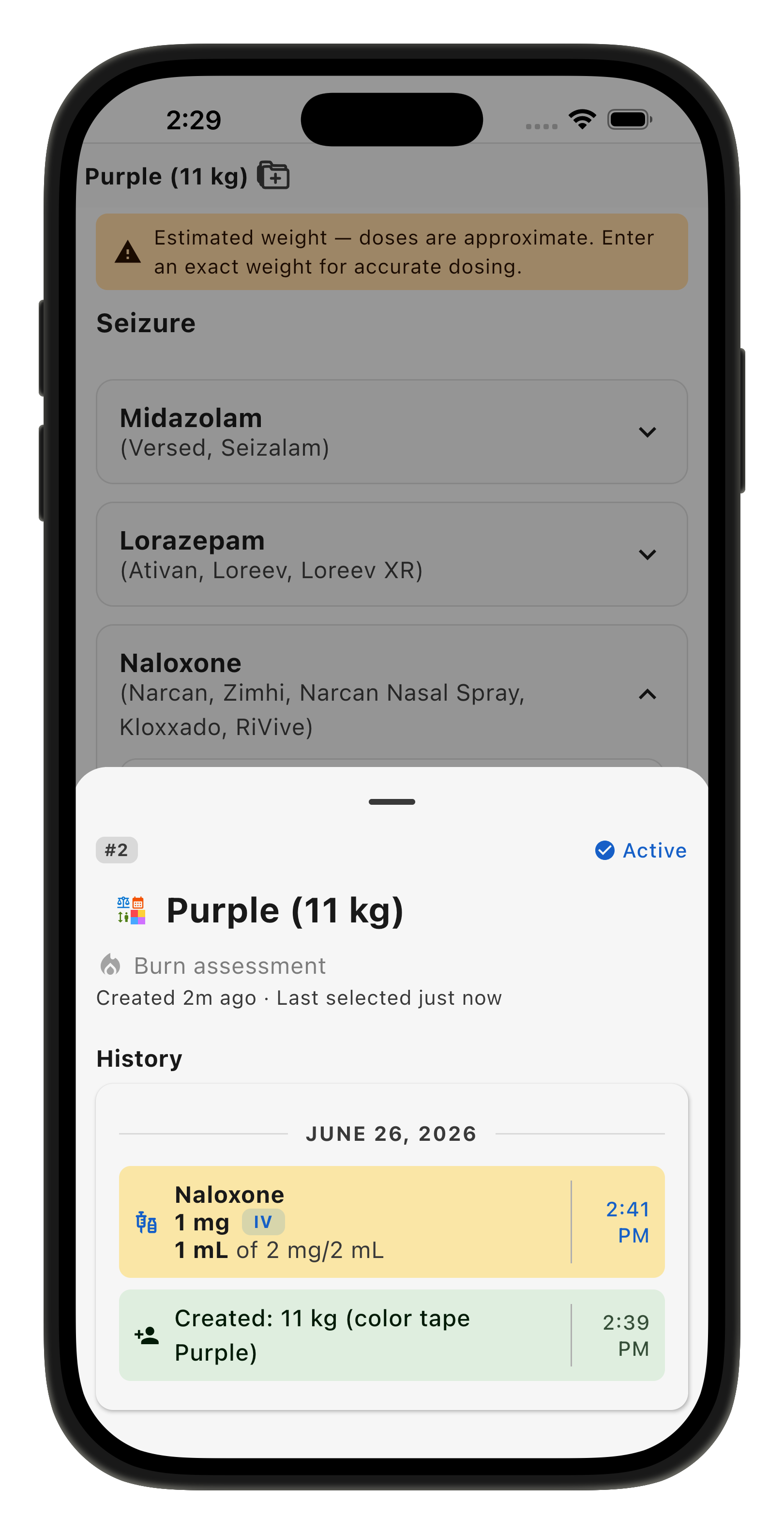 Patient Log